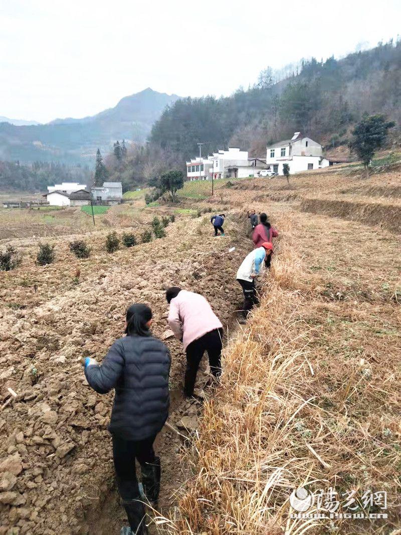 塘坊村民委员会天气预报更新通知