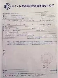 玉门市防疫检疫站人事调整，强化防疫力量，提升检疫效能