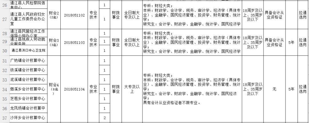 锦江区审计局最新招聘公告详解