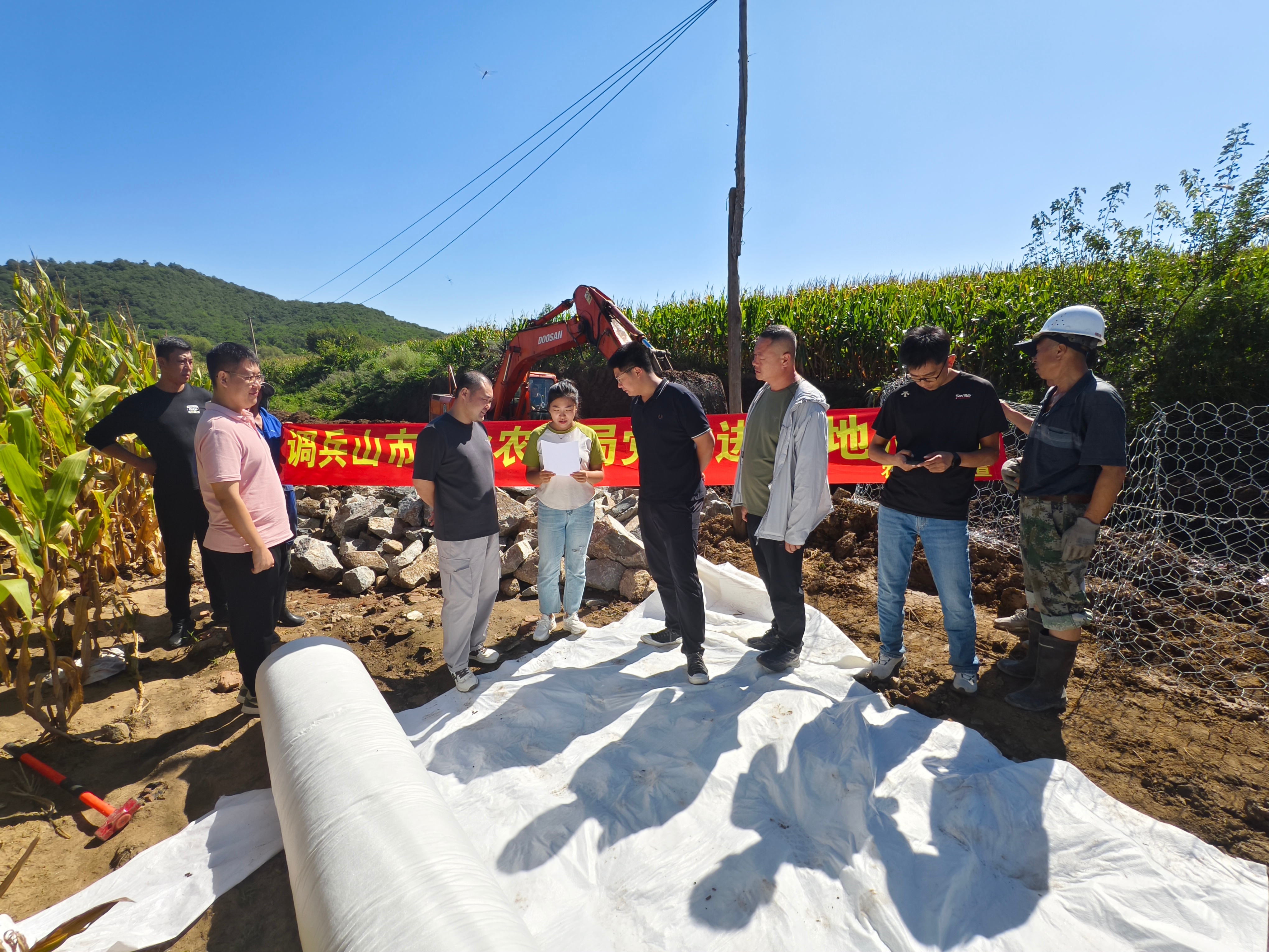 桃山区农业农村局最新项目，推动农业现代化，助力乡村振兴